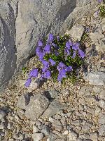 Hoher Dachstein (237 Bildaufrufe)