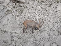 Bild 37 (248 Bildaufrufe)
