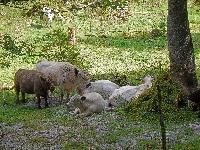 Bild 46 (227 Bildaufrufe)