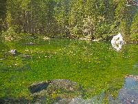 Bild 49 (229 Bildaufrufe)