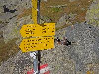 Bild 42 (224 Bildaufrufe)