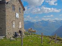 Bild 48 (233 Bildaufrufe)