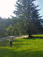 Bild 6 (255 Bildaufrufe)