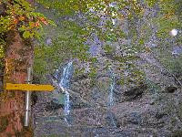 Bild 19 (218 Bildaufrufe)