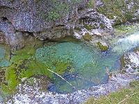 Bild 22 (209 Bildaufrufe)