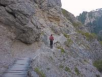 Bild 24 (223 Bildaufrufe)