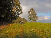 Bild 5 (185 Bildaufrufe)