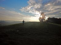 Bild 7 (208 Bildaufrufe)