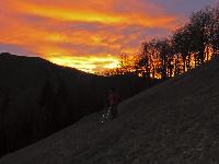 Bild 10 (219 Bildaufrufe)