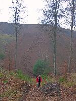 Bild 14 (143 Bildaufrufe)