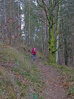 Bild 3 (200 Bildaufrufe)