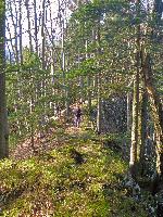 Bild 7 (168 Bildaufrufe)