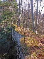 Bild 8 (177 Bildaufrufe)