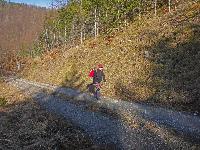 Bild 10 (168 Bildaufrufe)