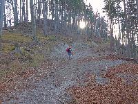 Kienstein (163 Bildaufrufe)
