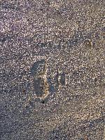 Bild 17 (151 Bildaufrufe)