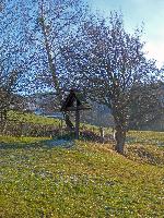 Bild 2 (147 Bildaufrufe)