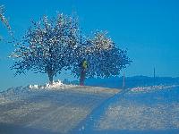 Bild 5 (116 Bildaufrufe)