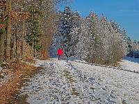 Bild 7 (181 Bildaufrufe)