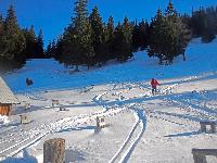 Bild 4 (195 Bildaufrufe)