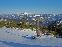 Bild 7 (222 Bildaufrufe)