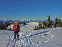 Bild 11 (265 Bildaufrufe)
