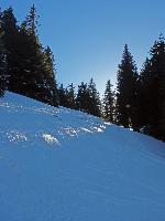 Bild 13 (190 Bildaufrufe)