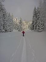 Bild 1 (152 Bildaufrufe)