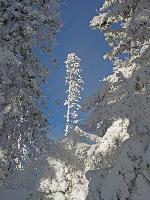 Bild 5 (186 Bildaufrufe)