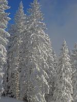 Bild 6 (163 Bildaufrufe)