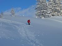 Bild 12 (145 Bildaufrufe)