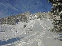 Bild 13 (159 Bildaufrufe)