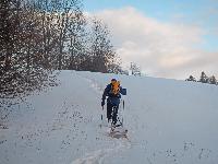 Bild 4 (180 Bildaufrufe)