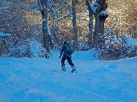 Bild 2 (179 Bildaufrufe)