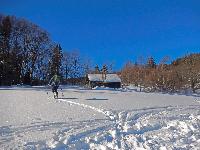 Bild 4 (194 Bildaufrufe)