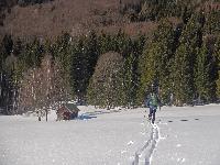 Bild 5 (177 Bildaufrufe)