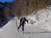 Bild 7 (206 Bildaufrufe)