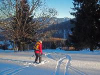 Bild 12 (205 Bildaufrufe)