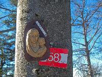 Bild 9 (164 Bildaufrufe)