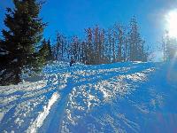 Bild 11 (165 Bildaufrufe)