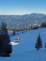 Bild 14 (157 Bildaufrufe)