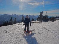 Bild 6 (183 Bildaufrufe)