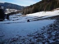 Bild 14 (195 Bildaufrufe)