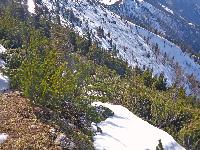 Bild 9 (161 Bildaufrufe)