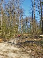 Grassberg (136 Bildaufrufe)