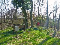 Grassberg (136 Bildaufrufe)