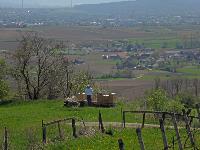 Bild 4 (133 Bildaufrufe)