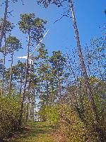 Bild 6 (152 Bildaufrufe)