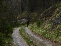 Türnitzer Höger, Tirolerkogel (222 Bildaufrufe)