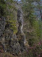 Bild 7 (198 Bildaufrufe)